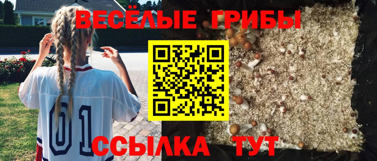 Псилоцибиновые грибы Psilocybe  Вход с VPN  Екатеринбург  хочу   Галлюциногенные грибы Magic Shrooms 