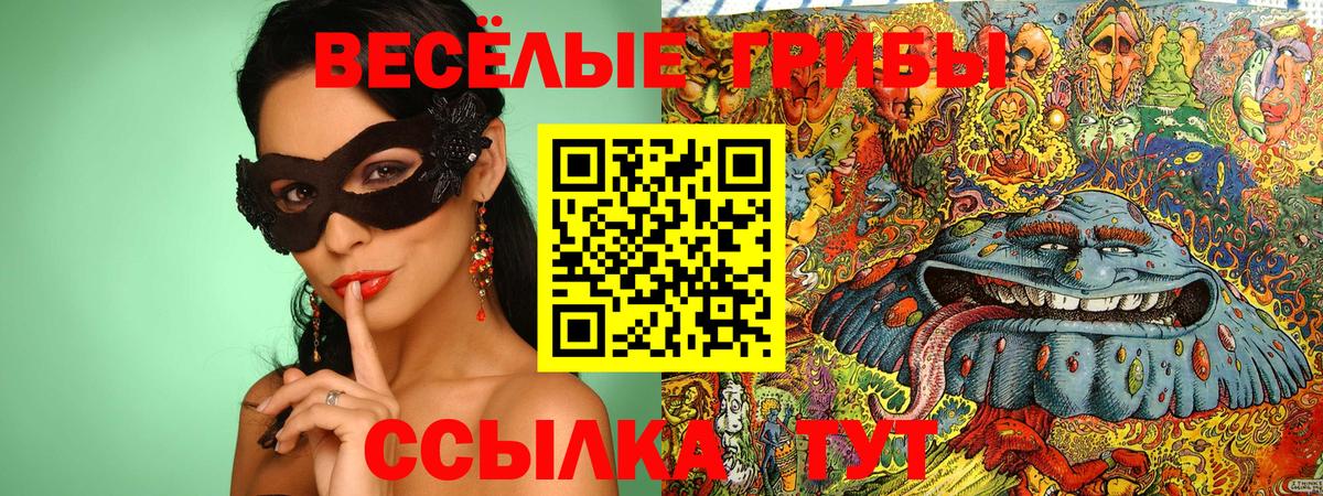 Галлюциногенные грибы прущие грибы Екатеринбург